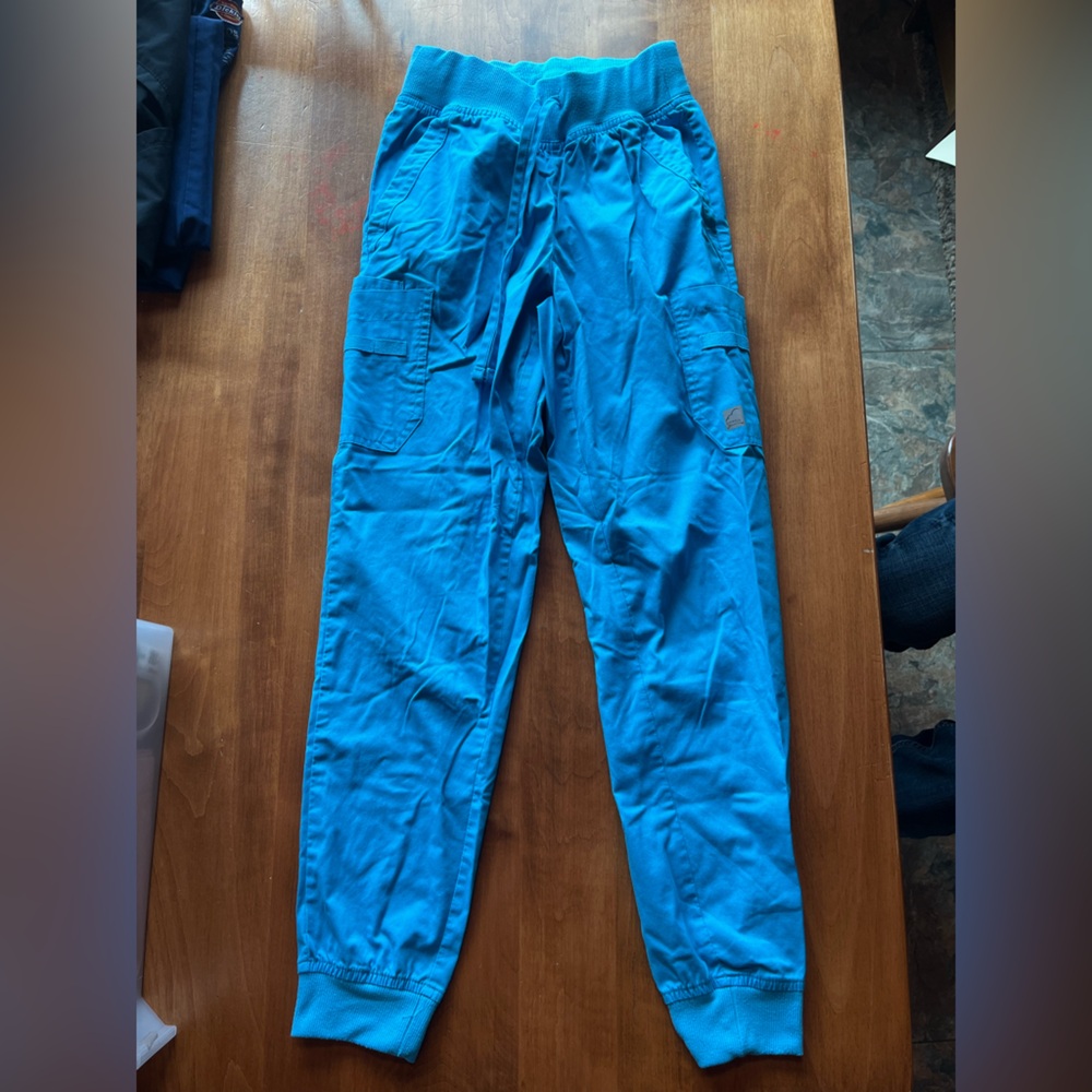 Blue XXSP scrub joggers
